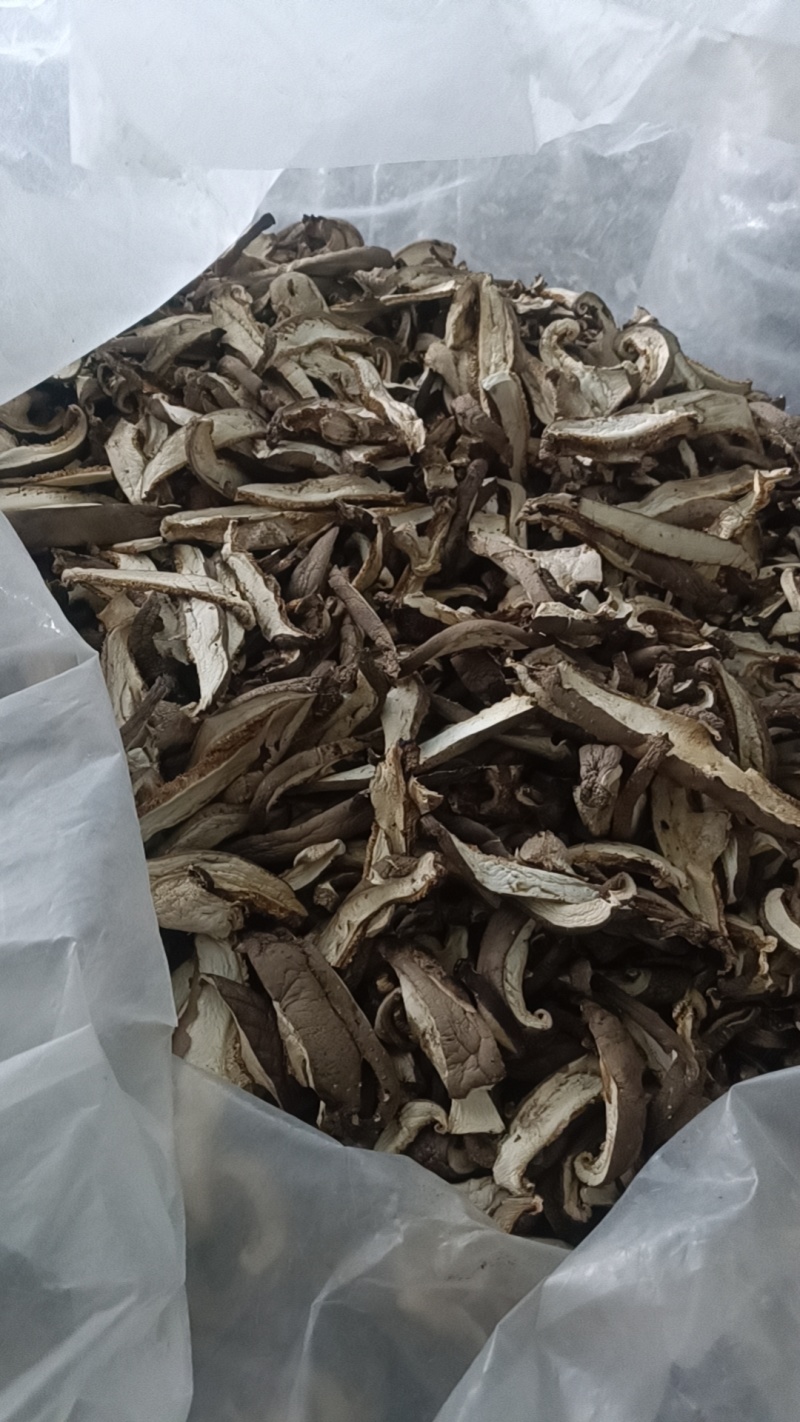 献县枣木香菇条，包子饺子煲汤食堂专用