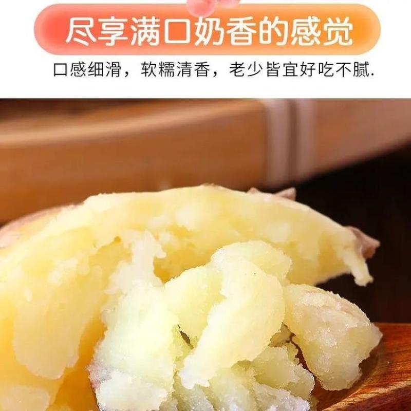 宁夏固原市西吉县红耀乡土豆