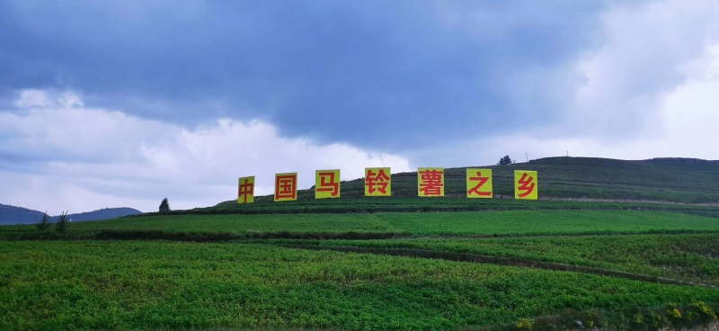 宁夏固原市西吉县红耀乡土豆