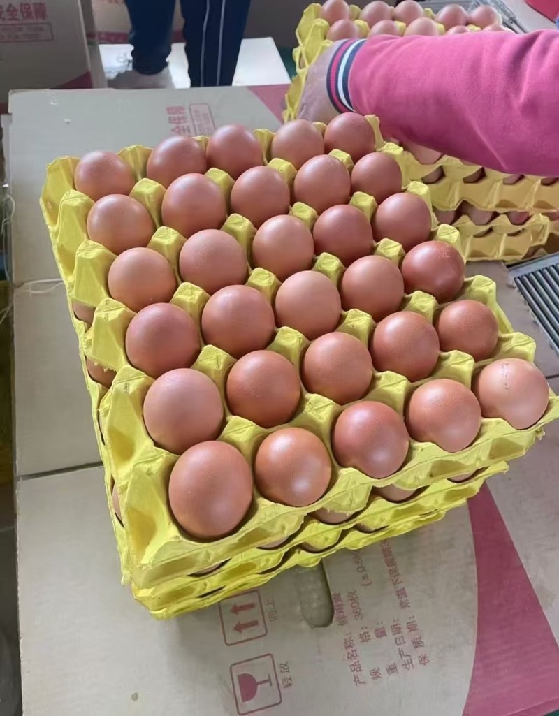 鸡蛋