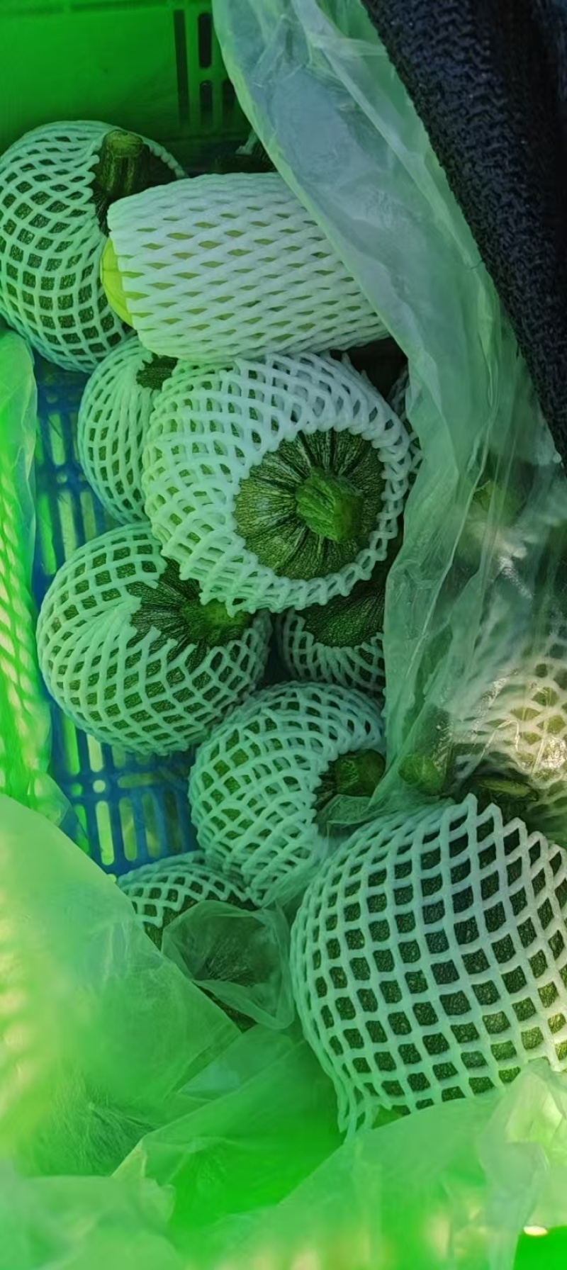 西葫芦
