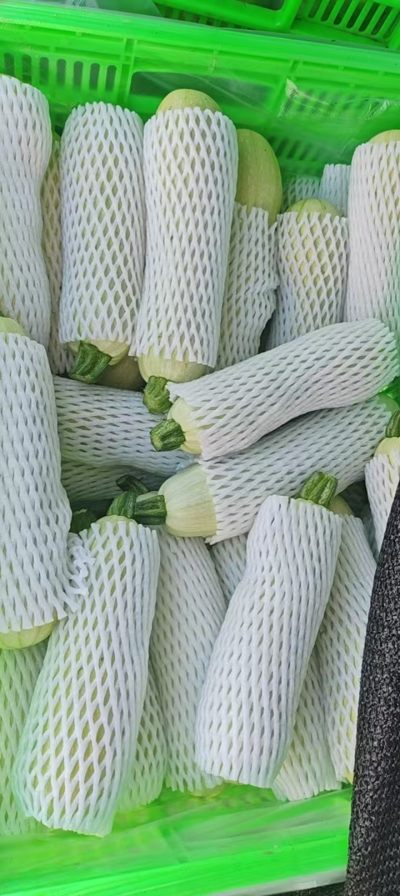 西葫芦