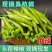 杭椒精美四号今日报价，品质有保障，超市，电商，市场，联系