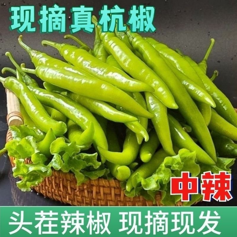 杭椒精美四号今日报价，品质有保障，超市，电商，市场，联系