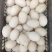 鹅蛋
