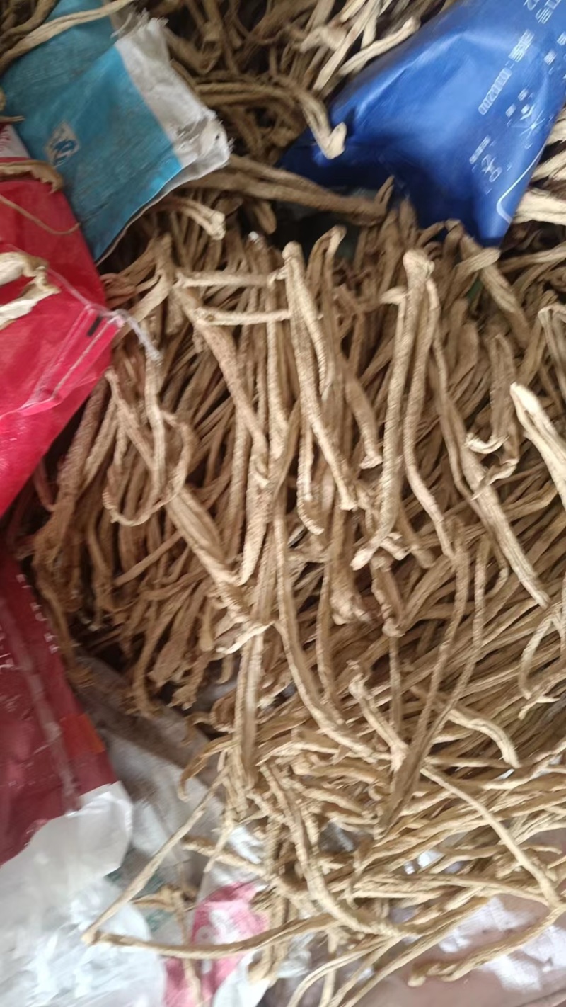 精品白萝卜条，干萝卜条，大根条，萝卜干，出成率高价格便宜