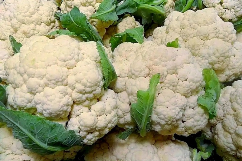 菜花产地菜花大量上市现采现发欢迎新老客户前来洽谈