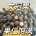 新采精选当年文冠果籽泡茶坚果批发文冠果树籽文冠果种绿植保