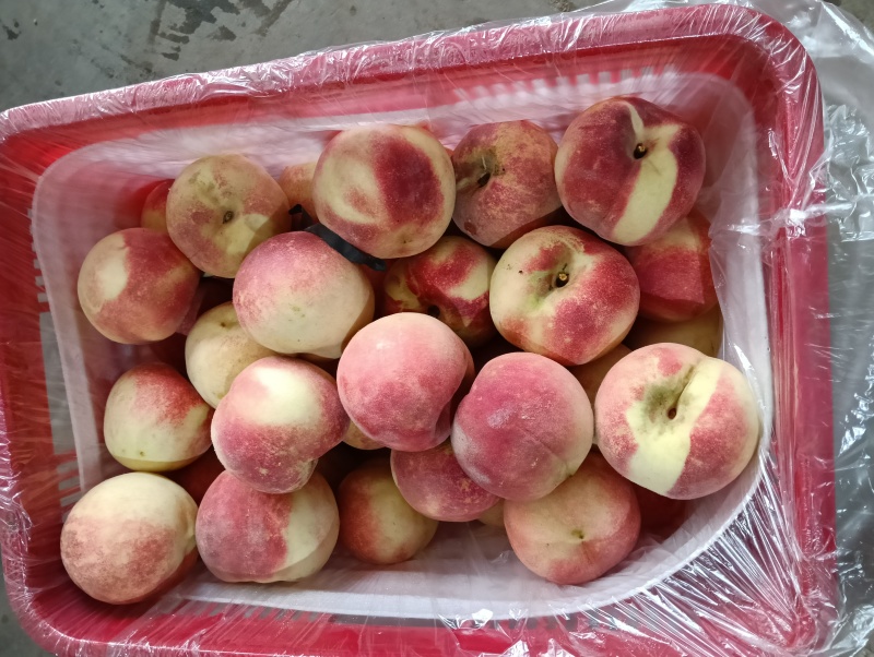 金秋红蜜桃