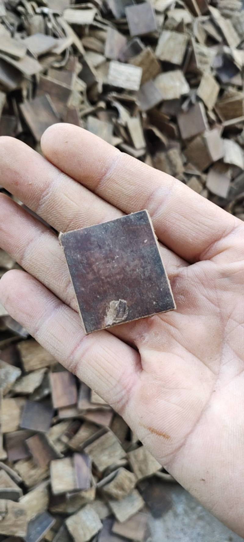 杜仲皮正宗秦岭老树无硫厚皮拉丝泡酒煲汤去粗皮