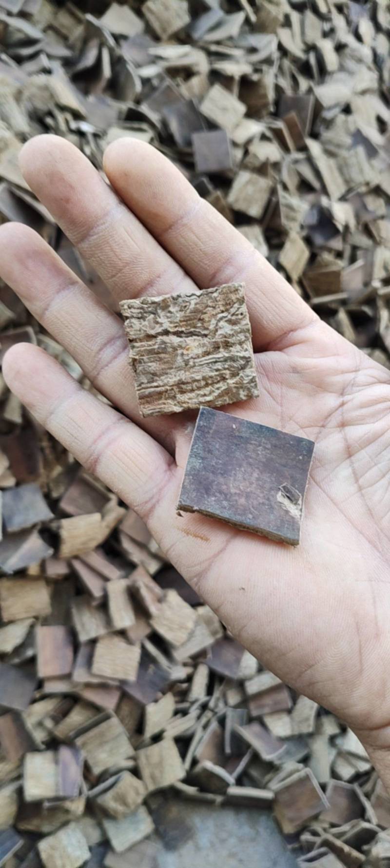 杜仲皮正宗秦岭老树无硫厚皮拉丝泡酒煲汤去粗皮