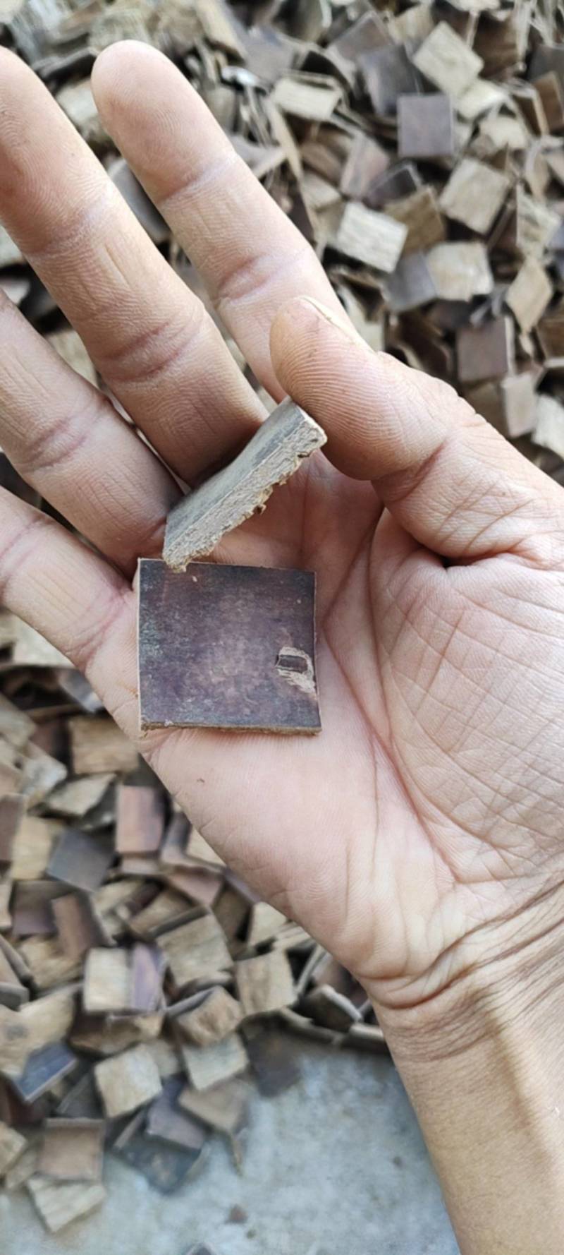 杜仲皮正宗秦岭老树无硫厚皮拉丝泡酒煲汤去粗皮
