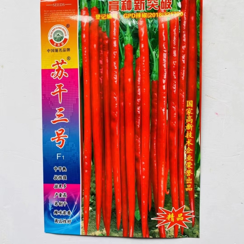 苏干三号中早熟品种辣香味浓青红两用品种种子