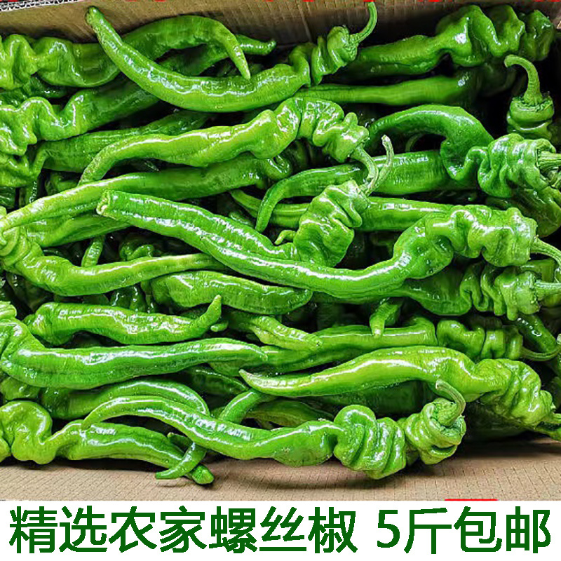 鲜辣椒