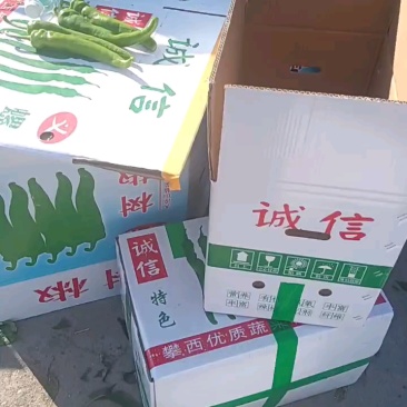 鲜辣椒