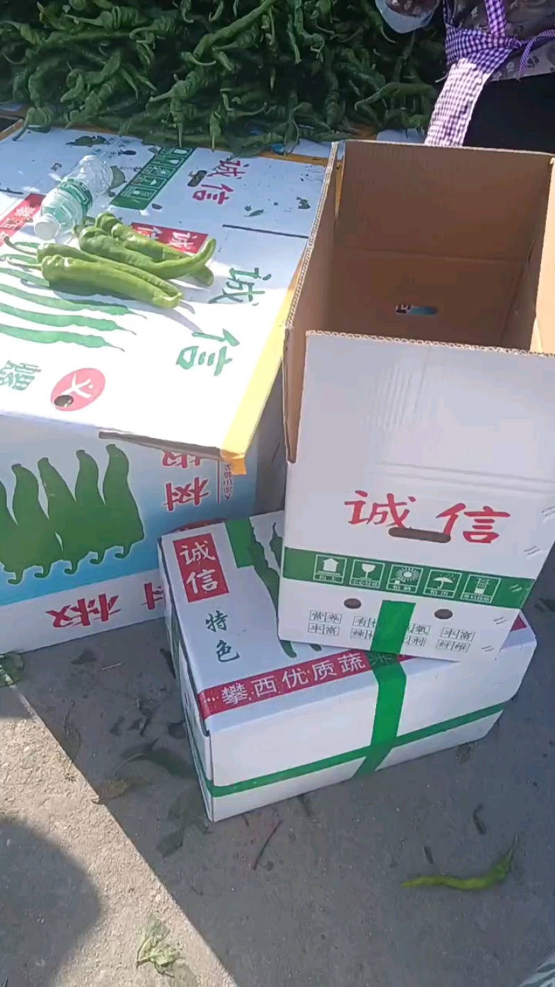 鲜辣椒