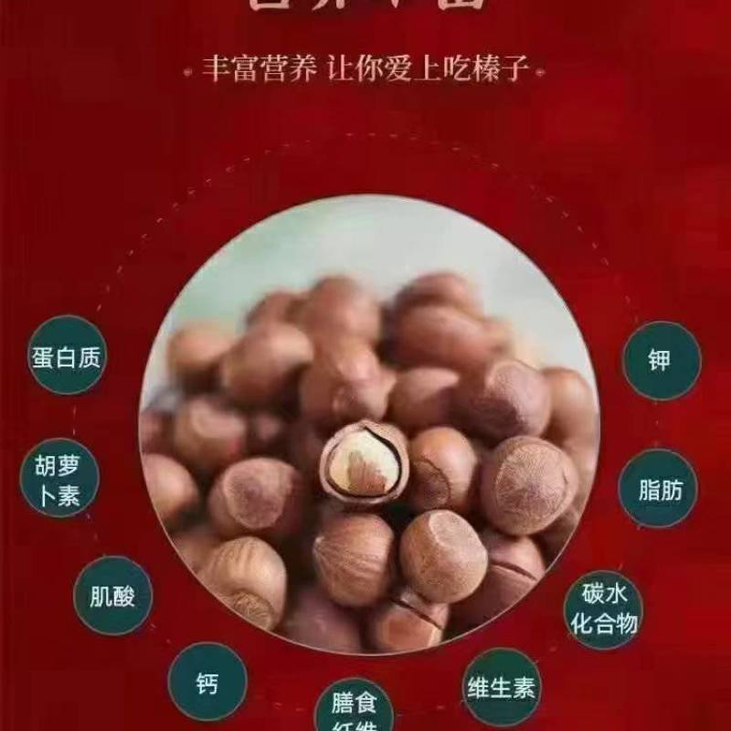 自家野生榛子