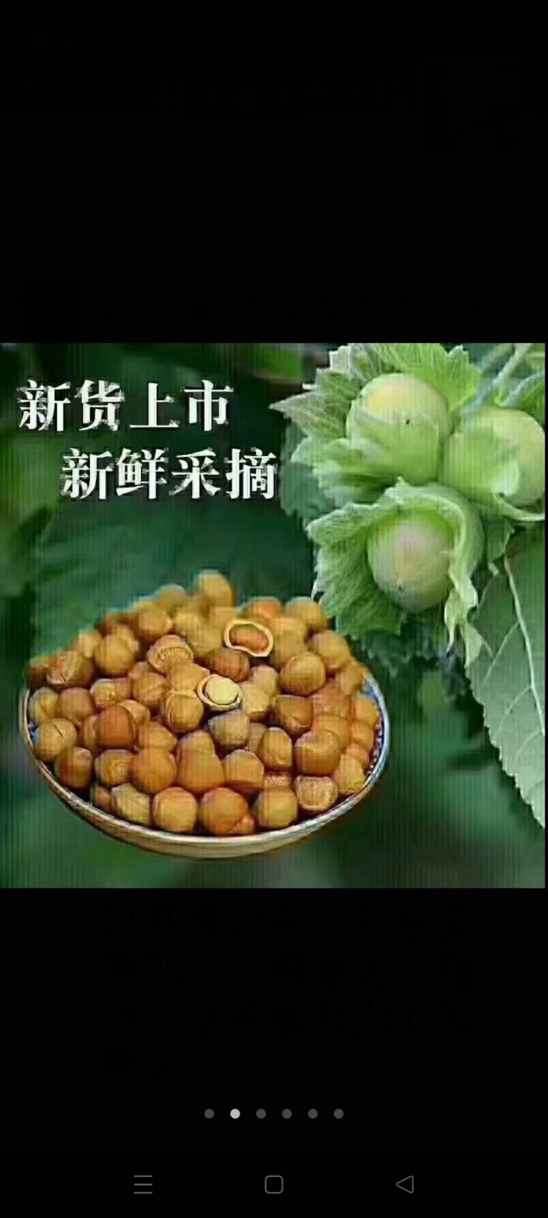 自家野生榛子