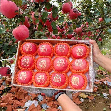 山东艺术苹果，奶油富士