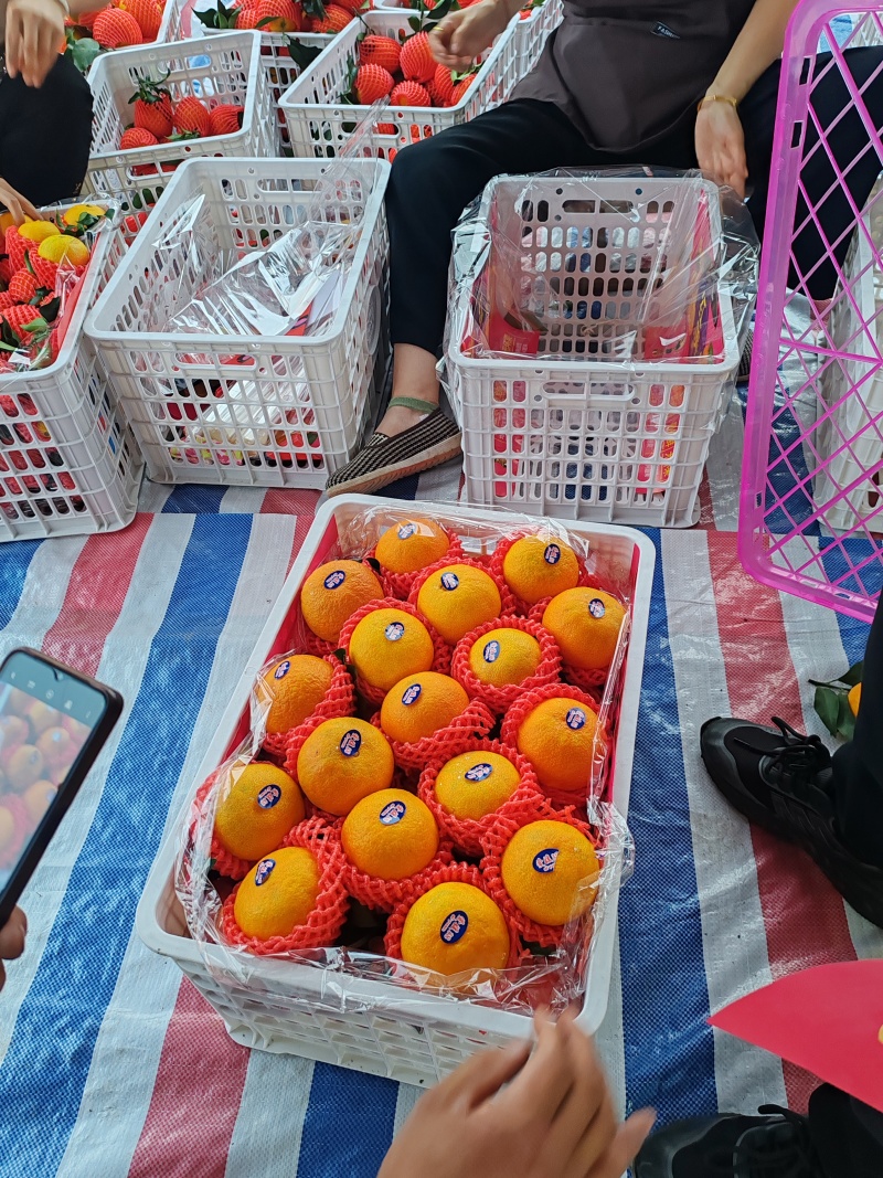 眉山市丹棱县爱媛38小果，颜色红，口感甜，果面好