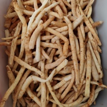 川明参