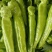 尖椒大量上市需要的联系我