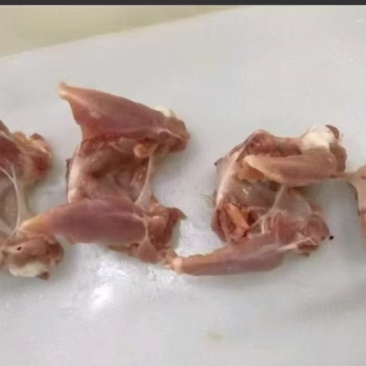二级鸭锁骨