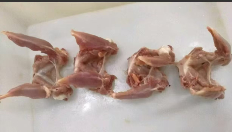 二级鸭锁骨