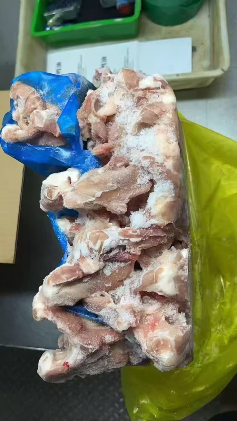 二级鸭锁骨