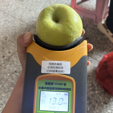 砀山酥梨汁多翠甜货源充足对接各大平台商超社区