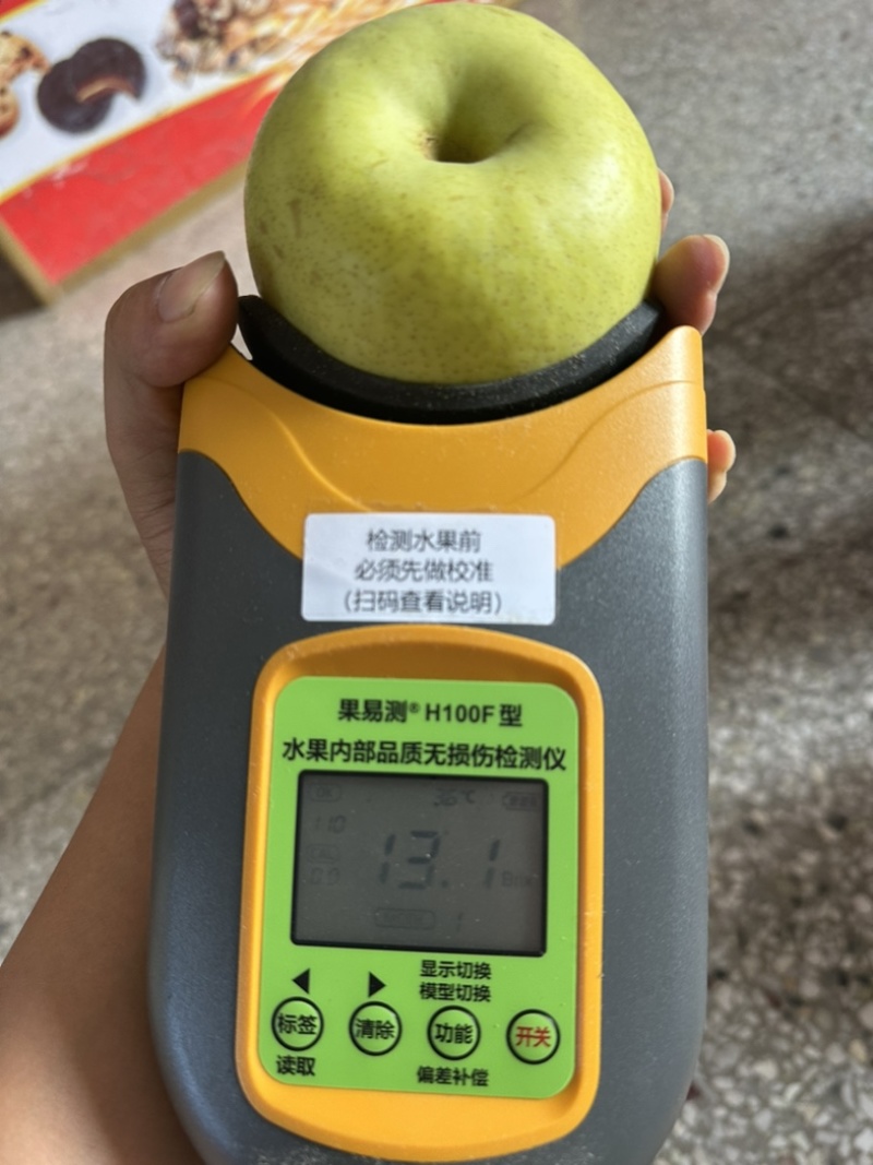 砀山酥梨汁多翠甜货源充足对接各大平台商超社区