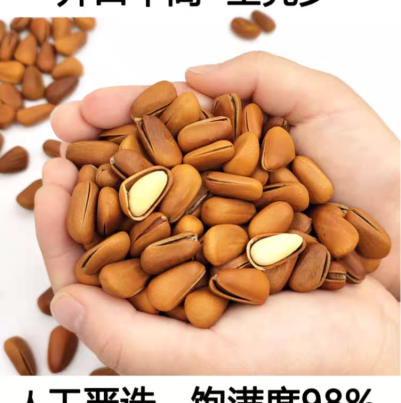 包邮）2025新鲜新货东北开口松子手剥大颗粒原味袋装净重