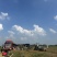 黑美人大量上市电商精品市场货大吨位供应