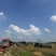 黑美人大量上市电商精品市场货大吨位供应