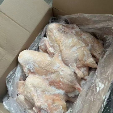 半片鸭