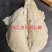熟心肺，猪肺，全熟猪脏器20斤