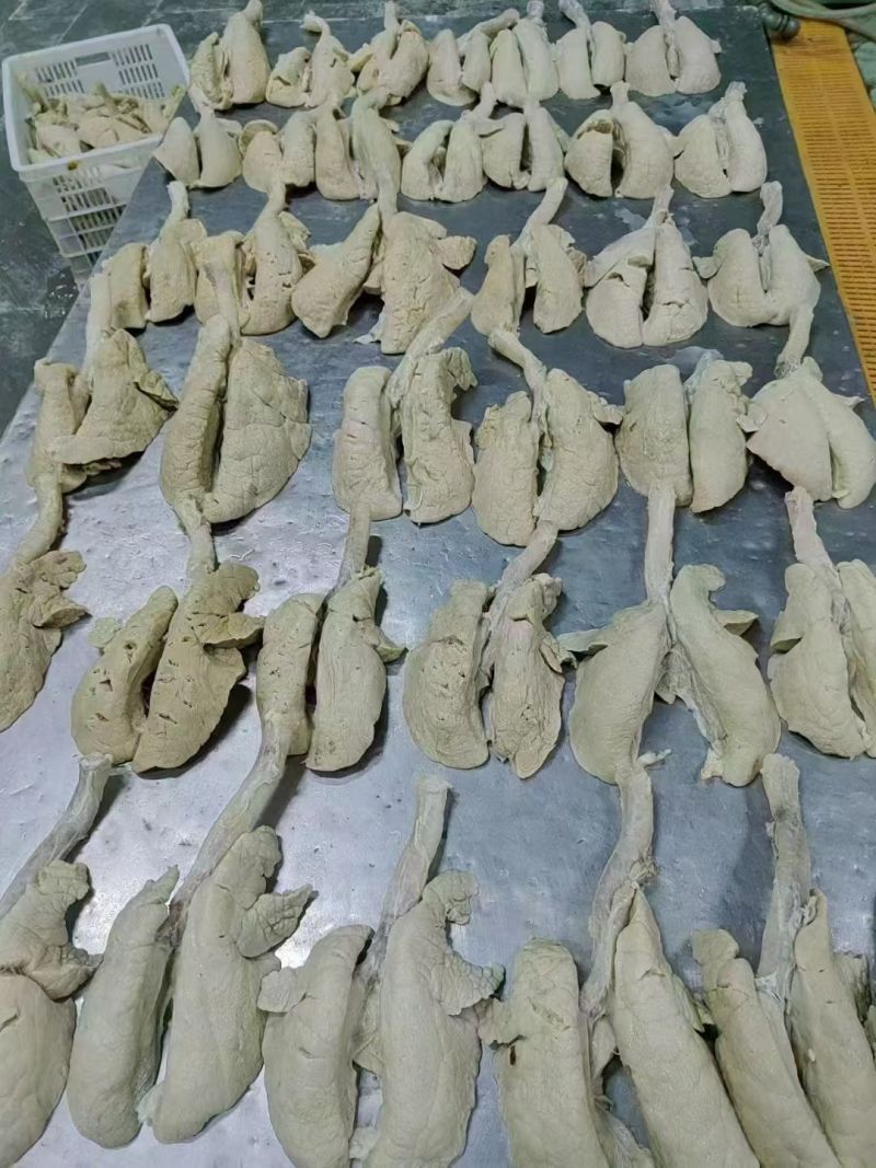 熟心肺，猪肺，全熟猪脏器20斤