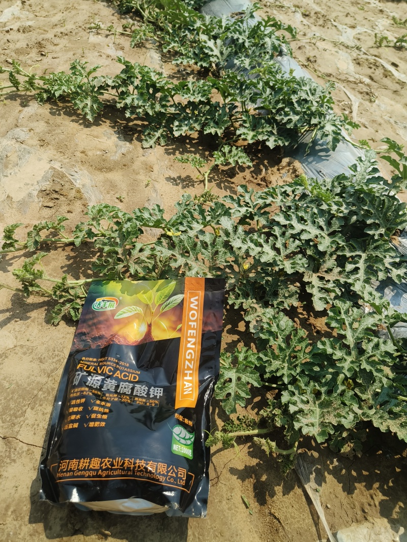 新疆矿源黄腐酸钾活性强抗硬水生根壮苗改良土壤