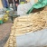正宗新鲜甘肃岷县无硫白条党参
