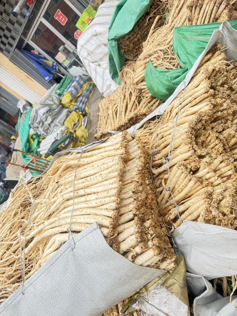 正宗新鲜甘肃岷县无硫白条党参