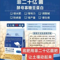 20亿菌特别添加酵母大豆蛋白