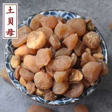 土贝母中药材贝母批发零售正宗土贝母货真价实
