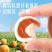 代发新疆奶芙杏网红爆杏干杏脯奶香软糯立包装休闲零食奶芙杏