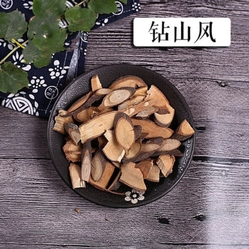 钻山枫中药材正品无硫野生钻山枫货真价实批发零售
