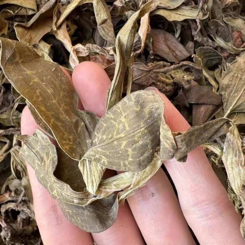 银线莲中药材冷背中药材大全批发零售货真价实