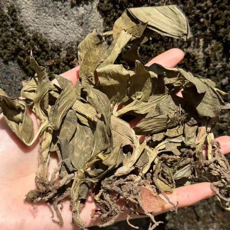 银线莲中药材冷背中药材大全批发零售货真价实
