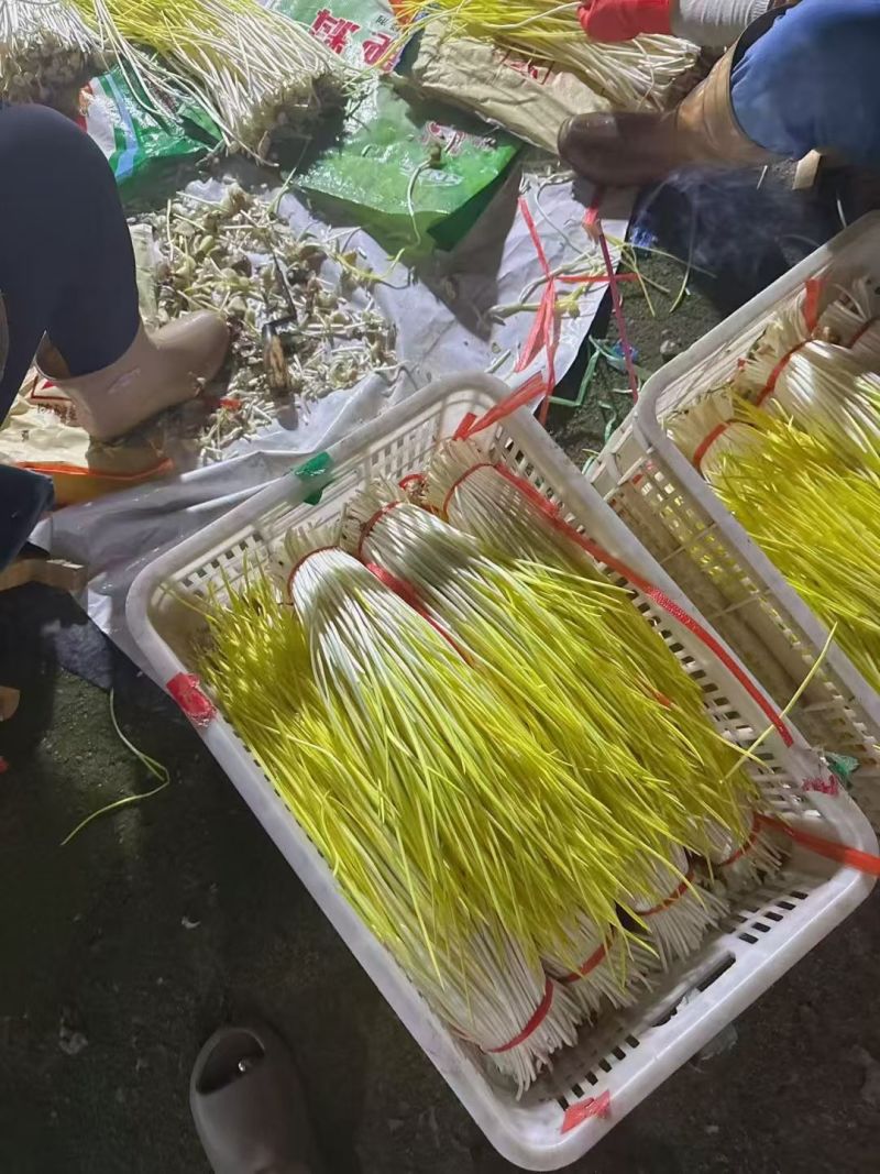大掉钱，产地直发