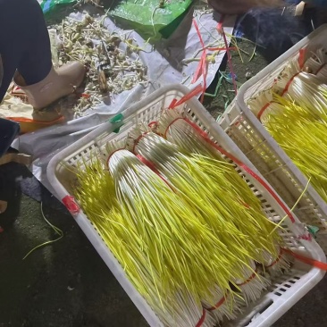 大掉钱，产地直发