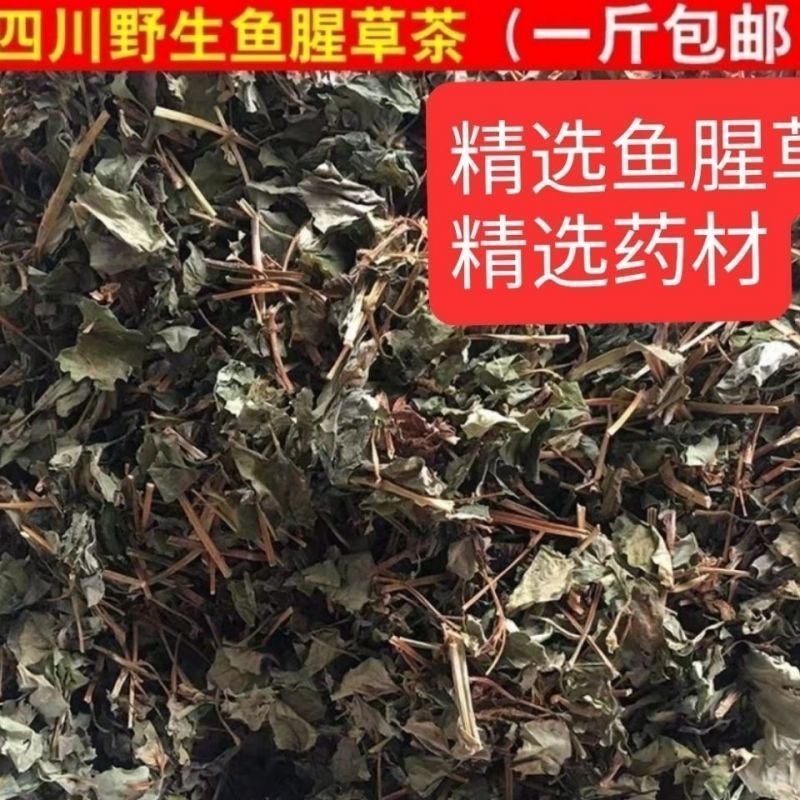 鱼腥草中药材正宗四川野生鱼腥草批发零售货真价实