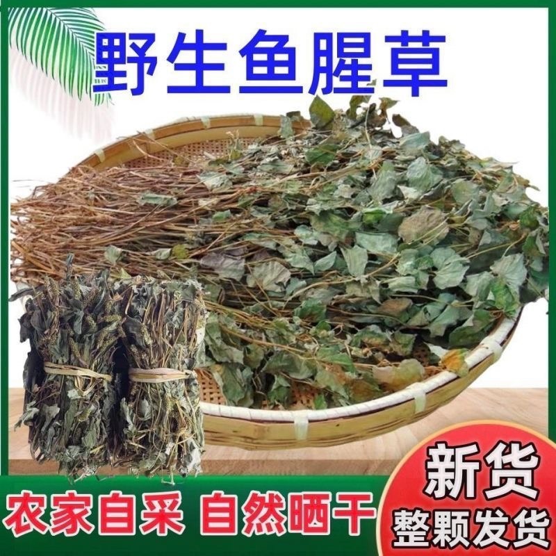 鱼腥草中药材正宗四川野生鱼腥草批发零售货真价实